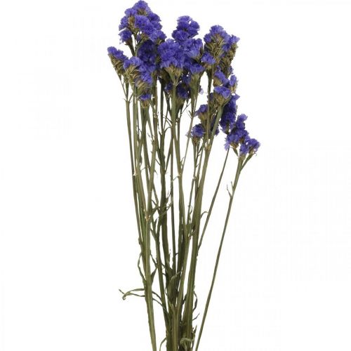 En haug med sjølavendel, tørkede blomster, sjølavendel, Statice Tatarica Blue L46–57cm 23g