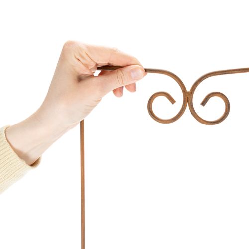 gjenstander Espalier, klatrehjelpemiddel, buet dekorativt element for blomsterbed og plantepotter, 75 cm