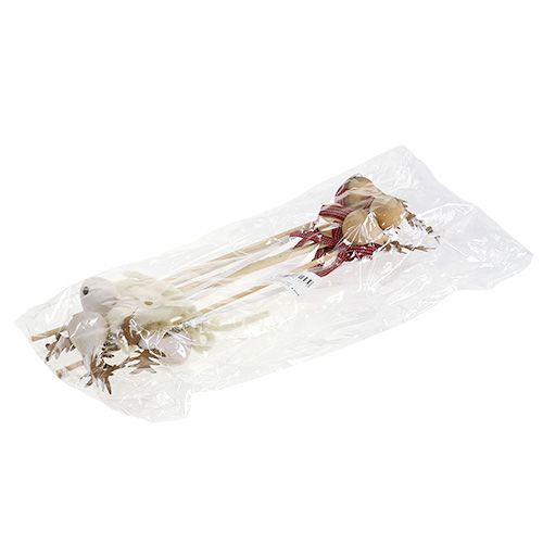 Floristik24 Plugg elg natur, hvit 7cm L30cm 8stk