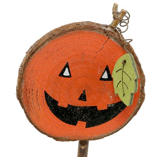 Floristik24 Plugg gresskar natur, oransje 8cm 12stk