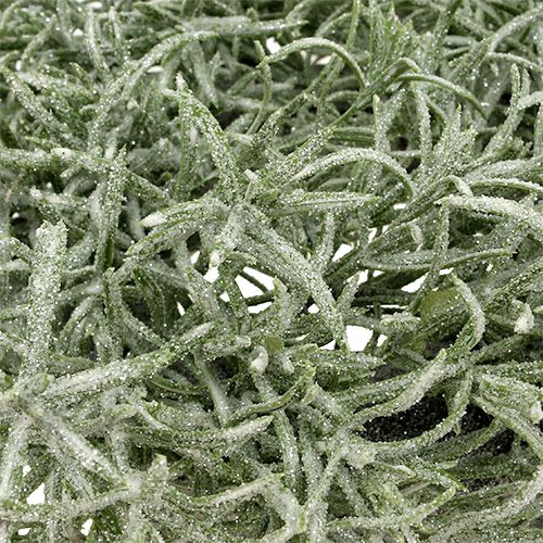 Floristik24 Dekorativ krans Ø30cm med glittergrønt