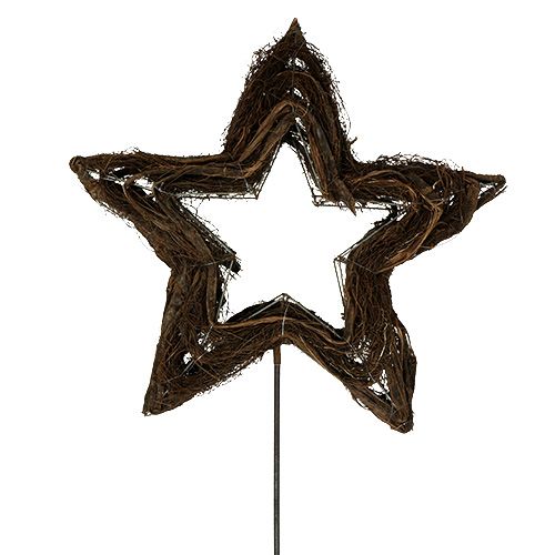 Floristik24 Stjerne laget av vinrankens natur 65cm på pinnen L160cm