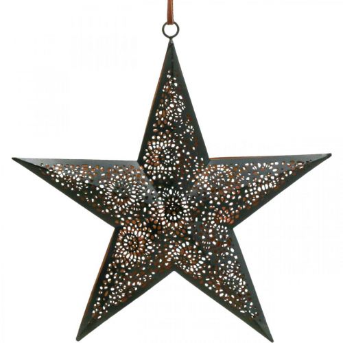 Julehenger stjerne metallstjerne svart H25,5cm