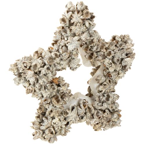 Floristik24 Stjerne til å henge opp juledekorasjon hvit, glitter Ø15cm