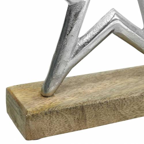 Floristik24 Star for å sette opp Mango, metallsølv 21 × 16,5 cm