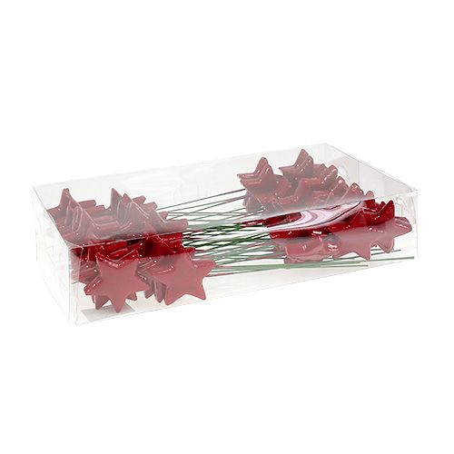 Floristik24 Stjerner på ståltråd til dekorasjon 5cm rød 48 stk