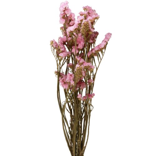 gjenstander Beach Syrin Rosa Limonium Tørkede Blomster 60cm 50g