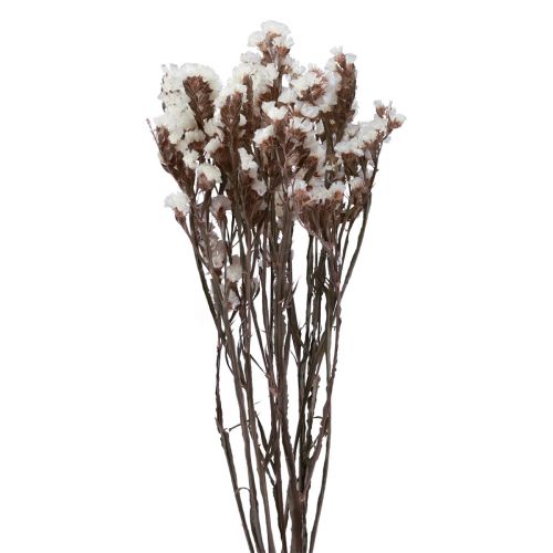 gjenstander Beach Syrin Hvit Limonium Tørkede Blomster 60cm 35g