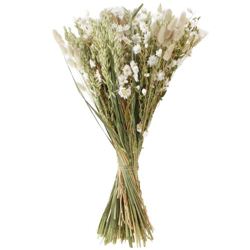 Floristik24 Bukett tørkede blomster hvite stråblomster havre Lagurus 55cm