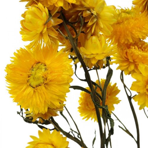 gjenstander Tørket blomst Gul stråblomst Helichrysum tørr dekorasjonsbunt 50cm 45g