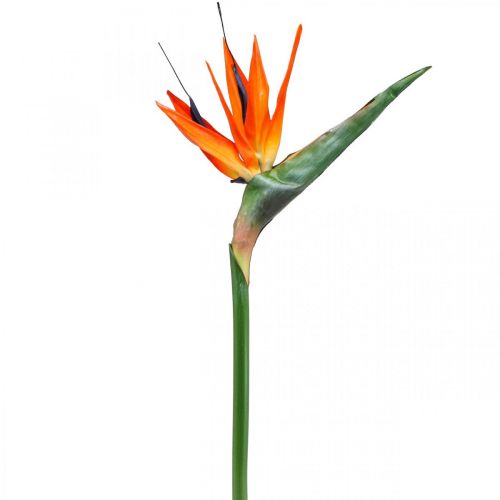 Floristik24 Strelizie reginae kunstig blomst oransje paradisfugl L85cm