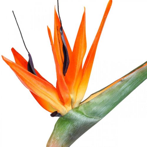 Floristik24 Strelizie reginae kunstig blomst oransje paradisfugl L85cm