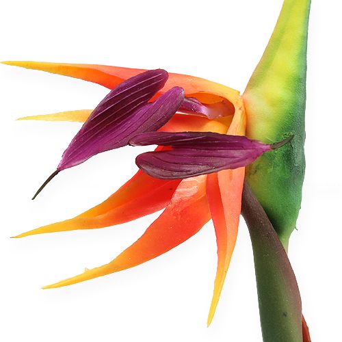 gjenstander Strelitzia paradisfugl blomst 62cm