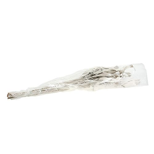 Floristik24 Dekorblader Strelitzia-blader hvitkalkede 120cm 10 stk