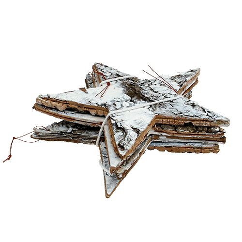 Floristik24 Bjørkebarkstjerne stor hvit 19cm 4stk