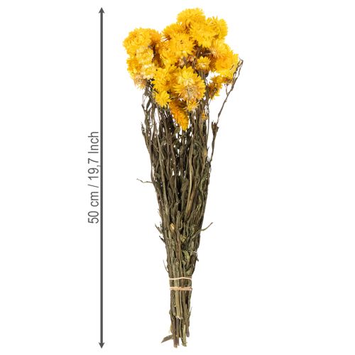 gjenstander Tørket gul stråblomst (Helichrysum) tørket blomsterbukett, 100 g