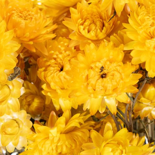 gjenstander Tørket gul stråblomst (Helichrysum) tørket blomsterbukett, 100 g