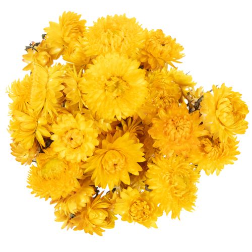 gjenstander Tørket gul stråblomst (Helichrysum) tørket blomsterbukett, 100 g