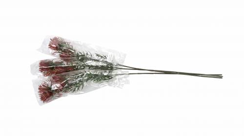 Floristik24 Xanthium gren Bordeaux 69cm 3stk