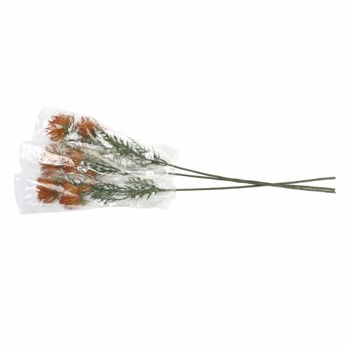 Floristik24 Xanthium gren oransje 69cm 3stk