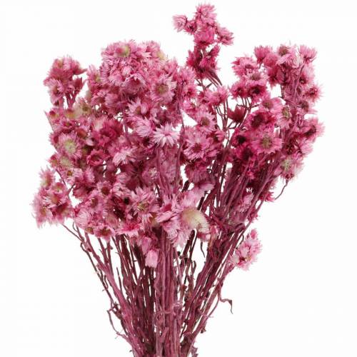 Floristik24 Tørkede blomster Rosa Tørkede blomsterbukett Tørkede blomster Rosa H21cm