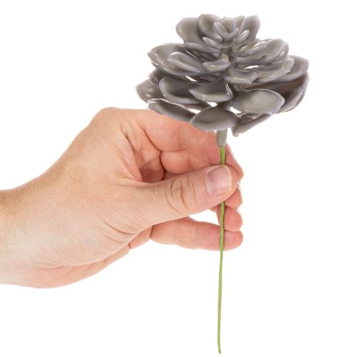 Kunstige sukkulenter i voksblomster dekorasjon 10 cm 6 stk | Floristik24.no
