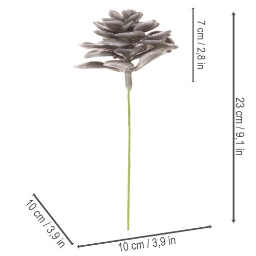 Kunstige sukkulenter i voksblomster dekorasjon 10 cm 6 stk | Floristik24.no