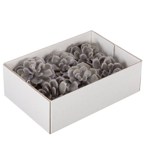 Kunstige sukkulenter i voksblomster dekorasjon 10 cm 6 stk | Floristik24.no