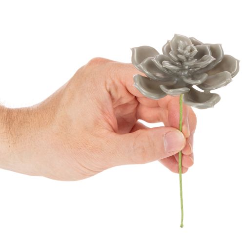 Kunstig sukkulent voks kunstig plante med ståltråd 8 cm 8 stk | Floristik24.no