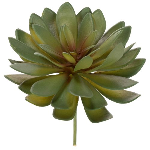 Kunstig sukkulent som dekorativ plante, grønn, 18 cm, 3 stk.