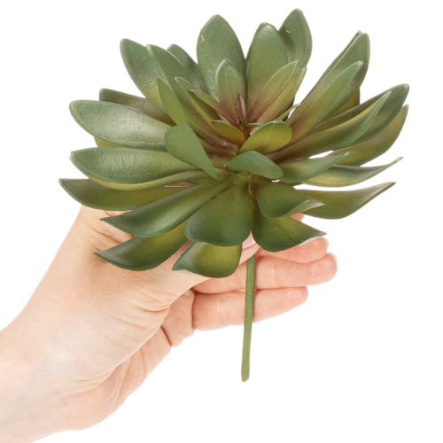 Kunstig sukkulent som dekorativ plante, grønn, 18 cm, 3 stk. | Floristik24.no
