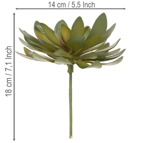 Kunstig sukkulent som dekorativ plante, grønn, 18 cm, 3 stk. | Floristik24.no