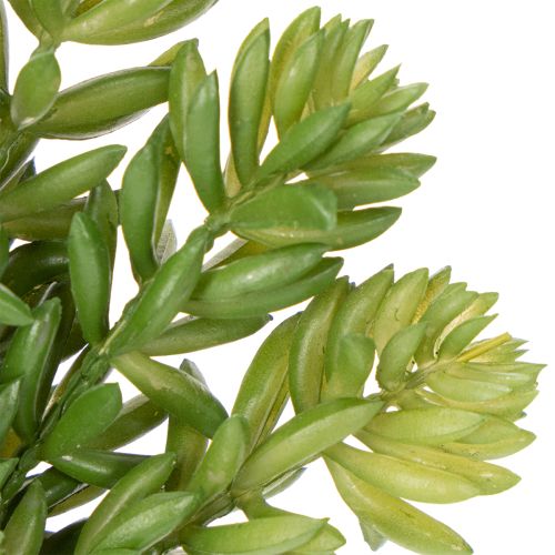 gjenstander Kunstig sukkulentblomst for vedlikeholdsfri design av oppholdsrom og kontorer, 15 cm, 5 stk.