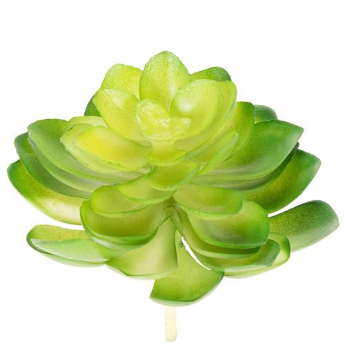Kunstig sukkulent, grønn, til dekorasjon i bolle eller vase, 10 cm, 4 stk.