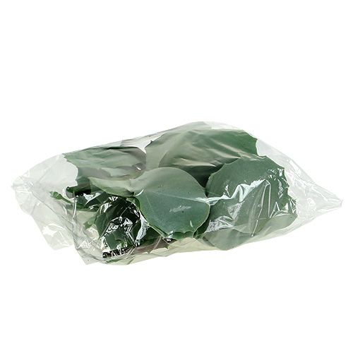 Floristik24 Sukkulent steinsprut L18cm 4stk