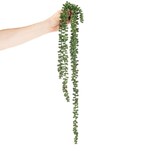 Kunstig plante hengende krans sukkulent dekorasjon stue | Floristik24.no