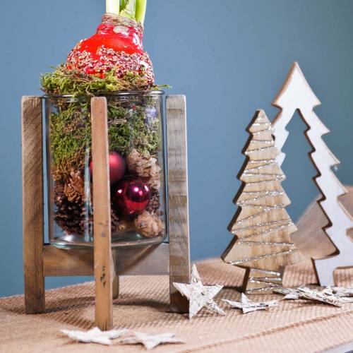 Floristik24 Gran i gran naturlig / krem 25,5 cm x 16,5 cm