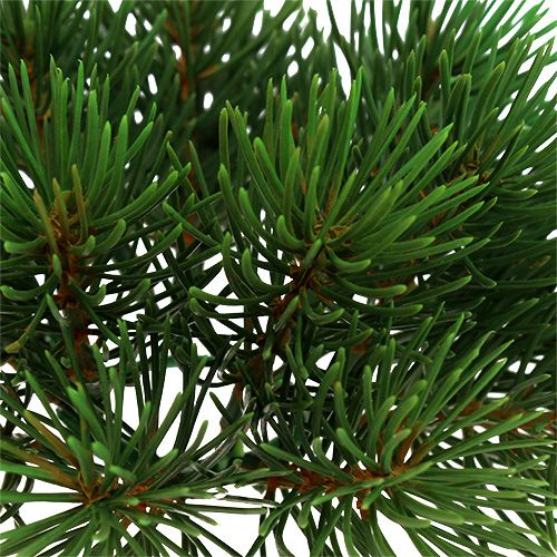 Floristik24 Grankrans Ø15cm 1stk