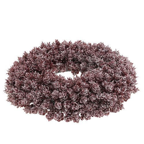 Floristik24 Pine cone krans Ø25cm Burgund iset