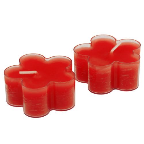 Floristik24 Blossom Light Ruby 12stk