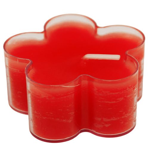 Floristik24 Blossom Light Ruby 12stk