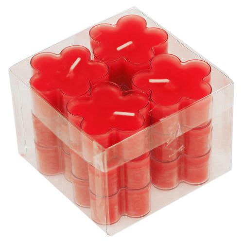 Floristik24 Blossom Light Ruby 12stk