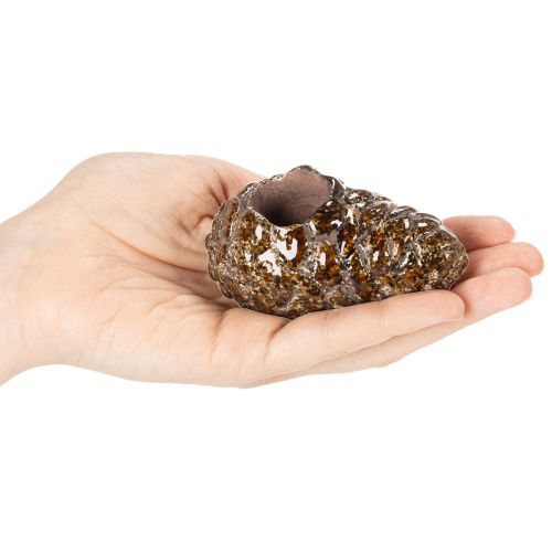 Telysholder med kongledesign, lysestake 8 cm, 3 stk. | Floristik24.no