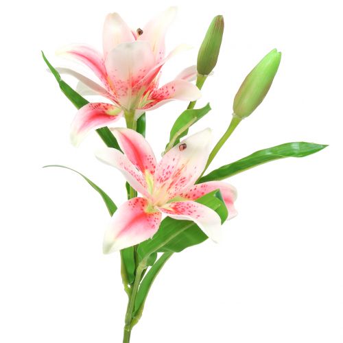 Floristik24 Tiger Lily Rosa, Hvit 60cm
