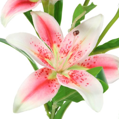 Floristik24 Tiger Lily Rosa, Hvit 60cm