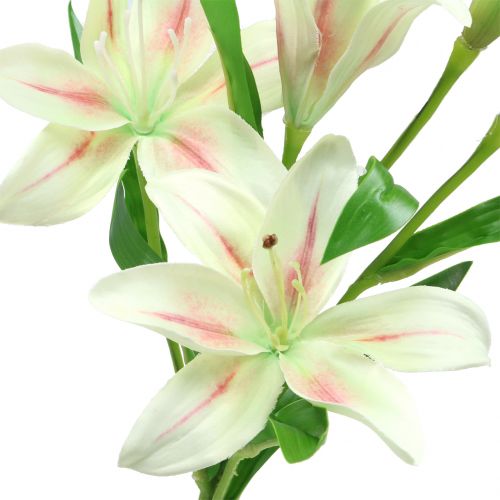 Floristik24 Tiger Lily Cream 60cm