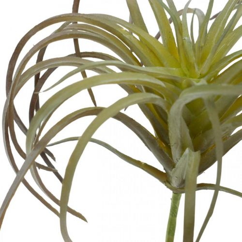 Floristik24 Tillandsia kunstig å stikke grønn-lilla kunstplante 13cm