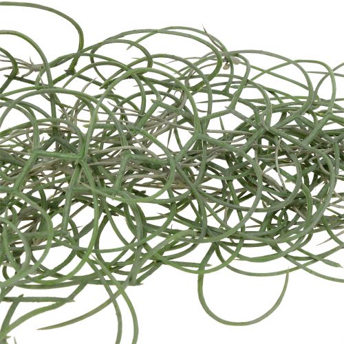 Floristik24 Tillandsia kunstgrå 130cm