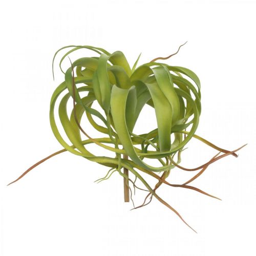 Floristik24 Tillandsia kunstig å stikke lysegrønn kunstig plante 30cm