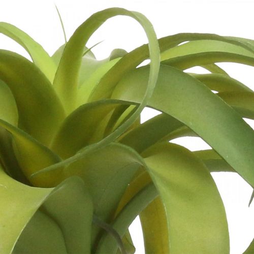 Floristik24 Tillandsia kunstig å stikke lysegrønn kunstig plante 30cm